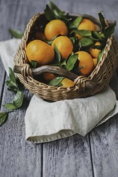 Citrus Delight Фото