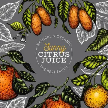 Citrus design templete. Hand drawn vector colour fruit illustration on dark b Stock Illustration