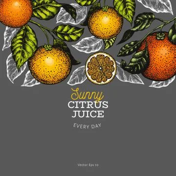 Citrus design templete. Hand drawn vector colour fruit illustration on dark b Stock Illustration