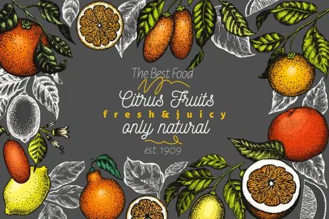 Citrus design templete. Hand drawn vector colour fruit illustration on dark b Stock Illustration