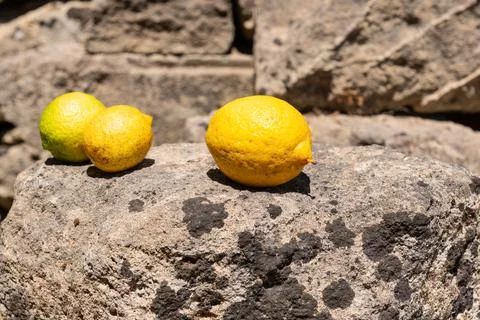 Citrus Fruit on Aged Stone Stock Photos
