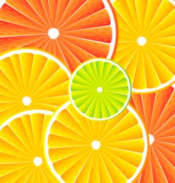Citrus fruit background - vector Stock Illustration