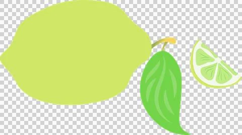 Citrus fruit is floating with leaf and wedge slice in vector illustration, Stock Illustration