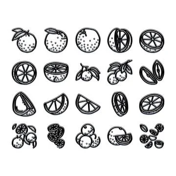 Citrus fruit icon set black line art Stock Illustration