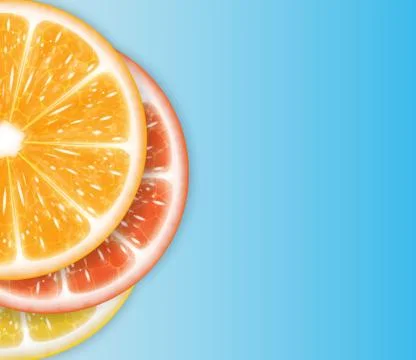 Citrus fruit Stock Illustration