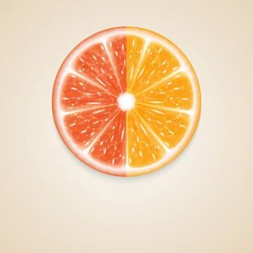 Citrus fruit Stock Illustration