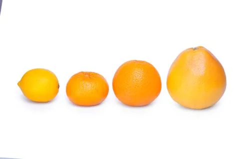 Citrus fruit Stock Photos
