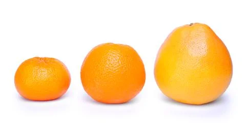 Citrus fruit Stock Photos