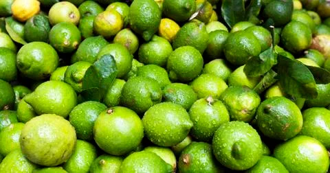 Citrus fruit Stock Photos