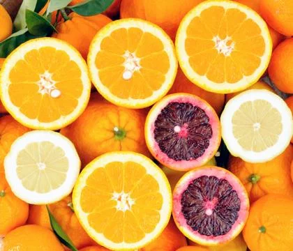 Citrus fruit Stock Photos