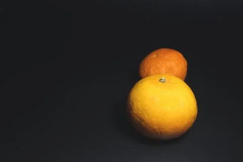 Citrus fruit. Stock Photos