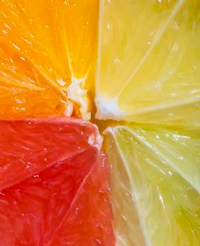 Citrus fruit section mix. Details of summer fruit. Fruit surface Stock Photos