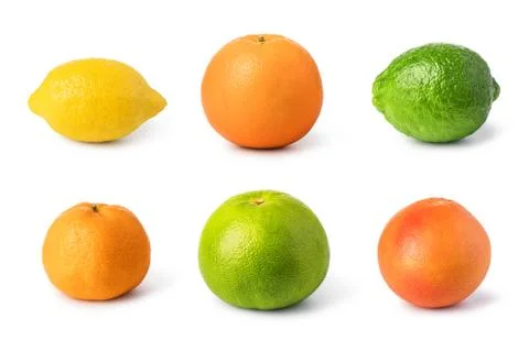 Citrus fruit set Stock Photos