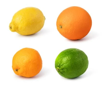 Citrus fruit set Stock Photos