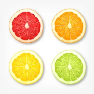 Citrus fruit slices Stock Illustration