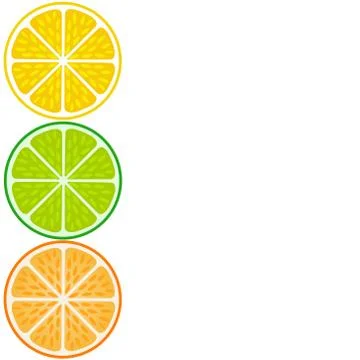 Citrus fruit slices Stock Illustration