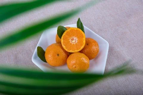 Citrus fruit on the table Stock Photos