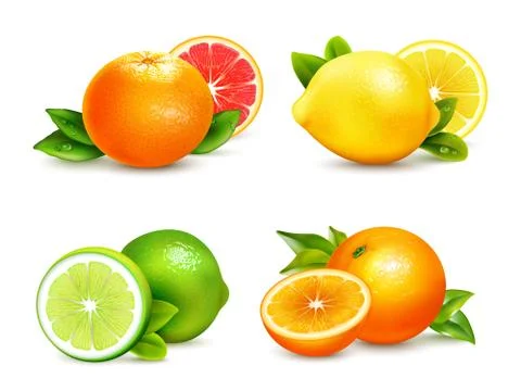 Citrus Fruits  4 Realistic Icons Set Stock Illustration