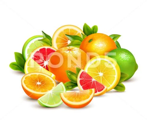 Citrus Fruits Collection Realistic Composition Stock Illustration