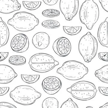 Citrus fruits. Lemon. Vector  pattern. Illustrazione stock