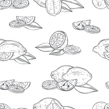 Citrus fruits. Lemon. Vector  pattern. Stock Illustration