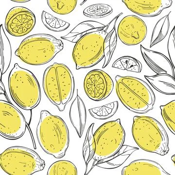 Citrus fruits. Lemon. Vector  pattern. Stock Illustration