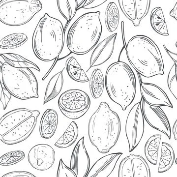Citrus fruits. Lemon. Vector  pattern. Stock Illustration