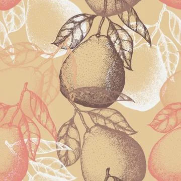 Citrus fruits seamless pattern. Vector background with pomelo Stock Illustration