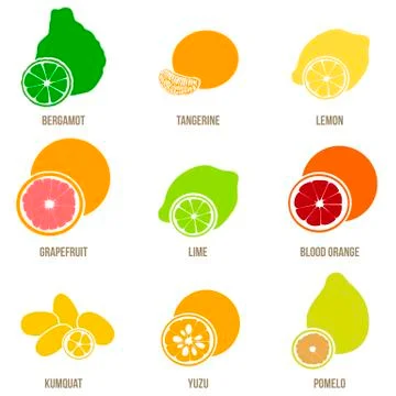 Citrus fruits vector flat set, whole fruits and slices Stock Illustration