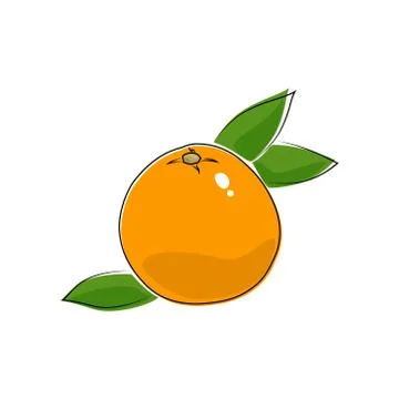 Citrus Grapefruit Isolated on White Stock Illustration