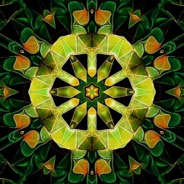 Citrus Grove Mandala Pattern Stock Illustration