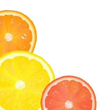 Citrus Stock Illustration