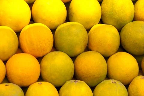 Citrus limetta Stock Photos