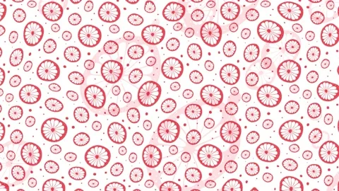 Citrus loops red and white. Stock Footage 146505355