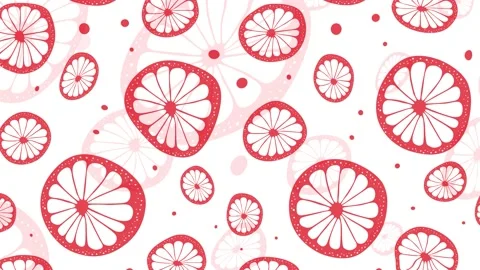 Citrus loops red and white. Stock Footage 146505377
