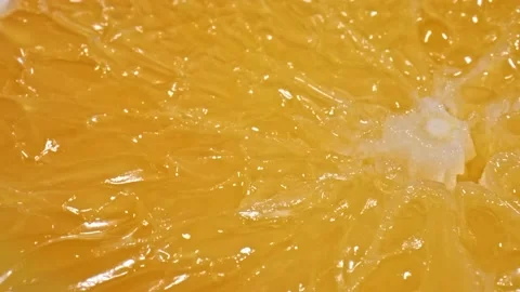 Citrus Orange Fruit Stock Footage 169819900