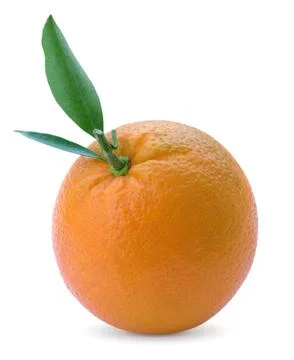 Citrus orange Foto stock