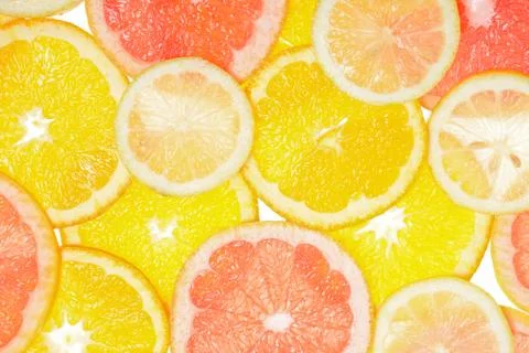 Citrus 写真素材