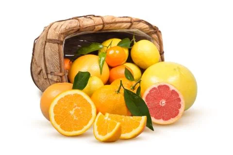 Citrus Foto stock