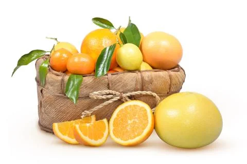 Citrus 写真素材