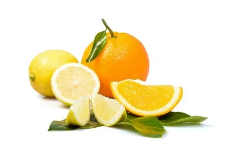 Citrus 写真素材