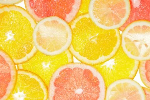 Citrus 写真素材