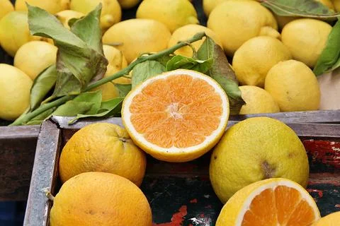 Citrus Stock Photos