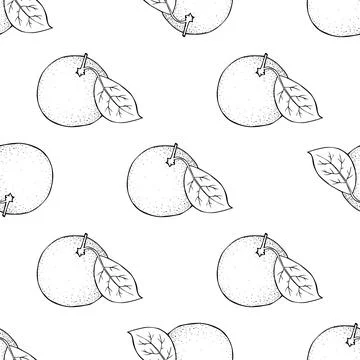 Citrus seamless pattern. Whole round fruit with  twig and  leaf in the skin. Stock Illustration