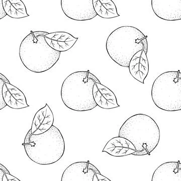 Citrus seamless pattern. Whole round fruit with twig and leaf in the skin Stock Illustration