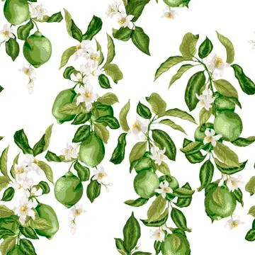 Citrus Seamless Vector Pattern Stock Illustration