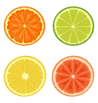 Citrus set isolated on white Stock Illustration