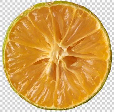 Citrus slice isolated background Stock Photos