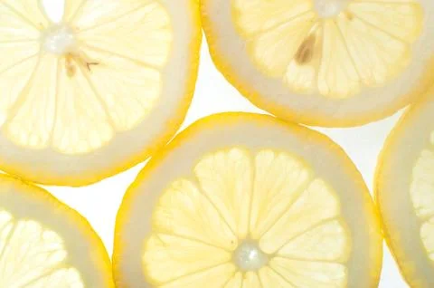 Citrus slices with back light Stock Photos