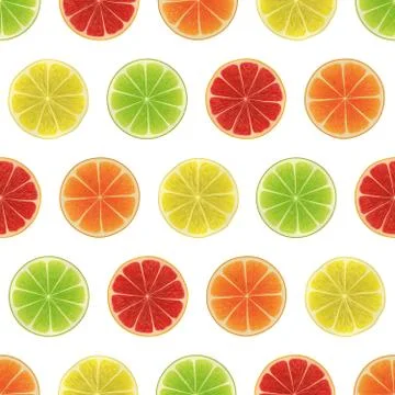 Citrus slices Stock Illustration